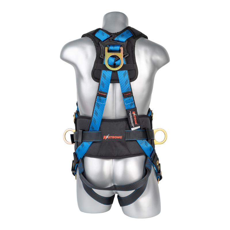 Essential+ 5-Point FBH with Back Pad, TB Waist Belt and Legs, 3 D-rings Harness