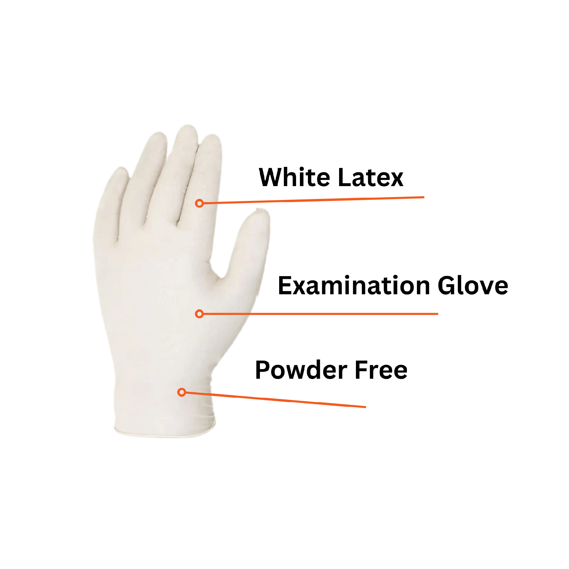 5 mil Latex Disposable Exam Gloves - Case Quantity (10 Boxes)