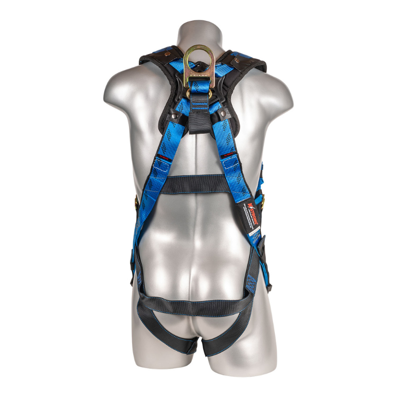 Essential+ 5-Point FBH with Removable Back/Shoulder Pad, TB Legs, Web Loop Added Under Dorsal D-ring Harness