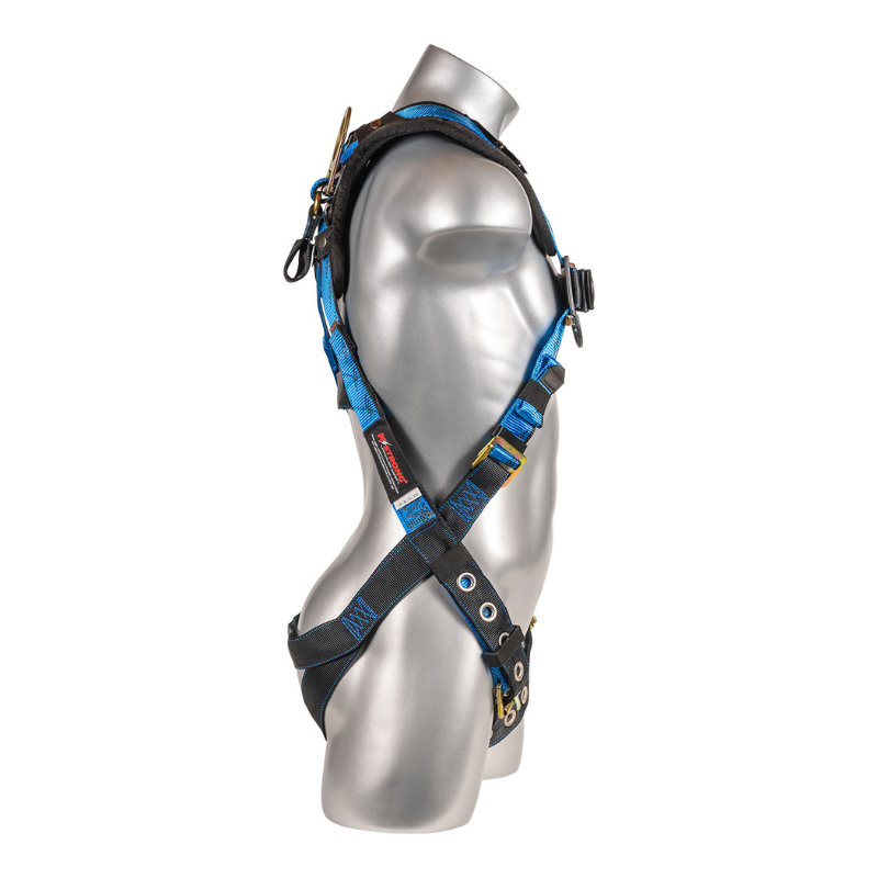 Essential+ 5-Point FBH with Removable Back/Shoulder Pad, TB Legs, Web Loop Added Under Dorsal D-ring Harness