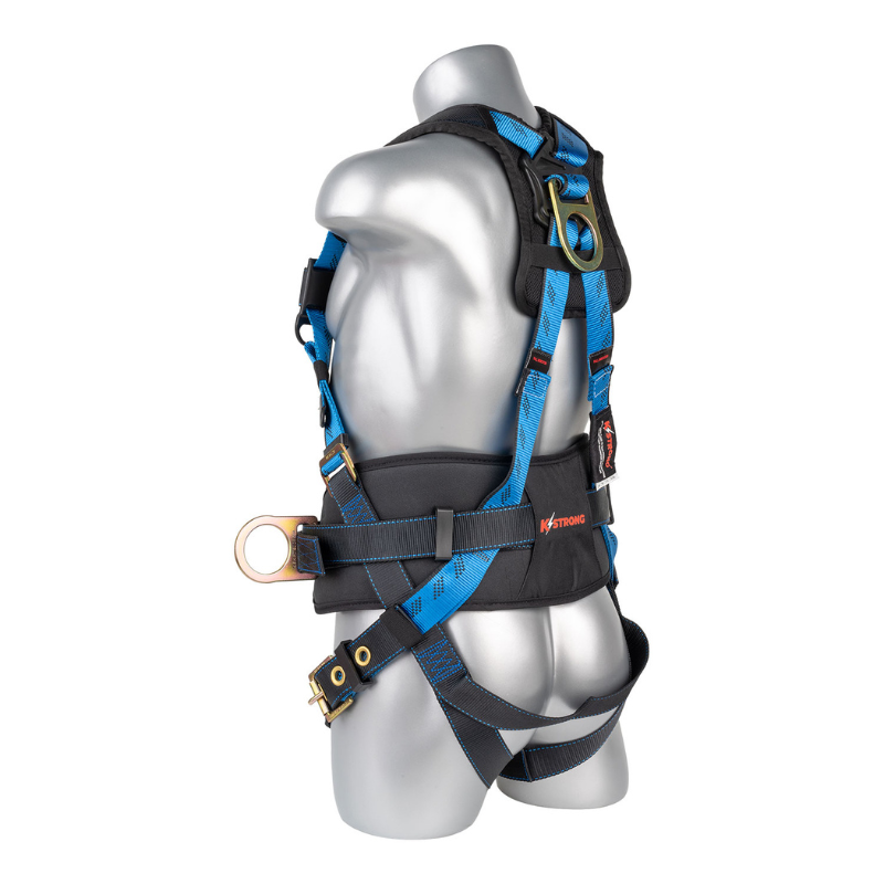 Essential+ 5-Point FBH with Back Pad, TB Waist Belt and Legs, 3 D-rings Harness