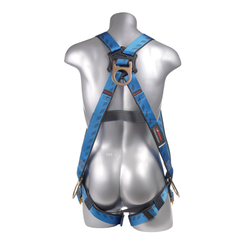 Essential 3-Point FBH, 3 D-rings, MB Legs Harness